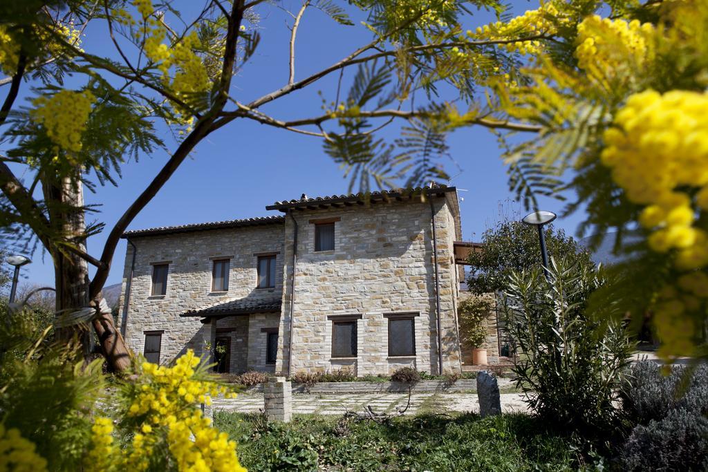 Villa Rosy Asís Exterior foto